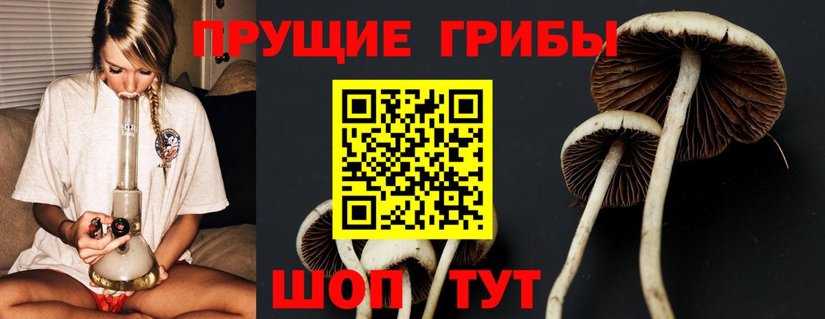 даркнет сайт  Вход с VPN  Беслан  Галлюциногенные грибы Psilocybine cubensis 
